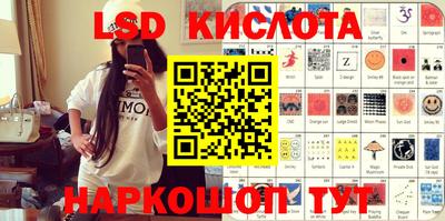 гашик Кингисепп