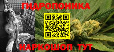 прущие грибы Конаково