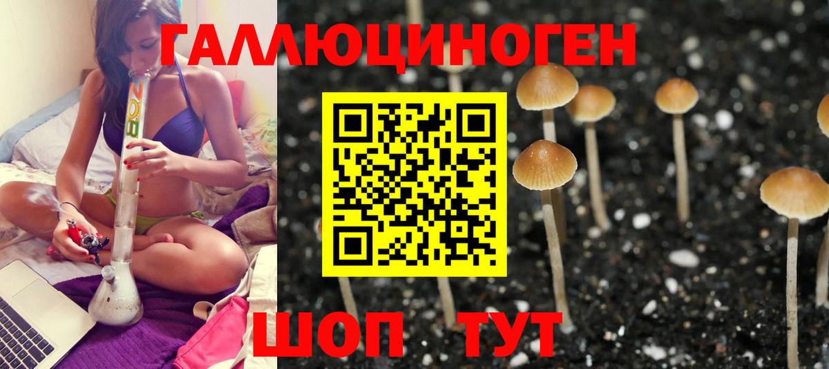 Кострома  Галлюциногенные грибы Cubensis  Вход с VPN 