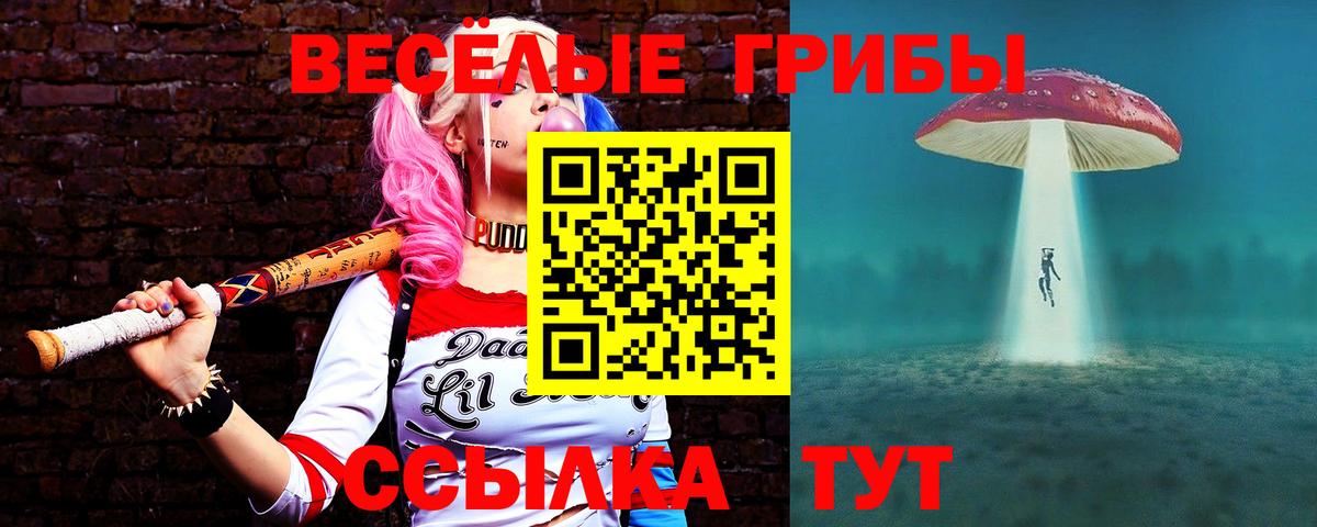 Псилоцибиновые грибы Psilocybine cubensis Кострома